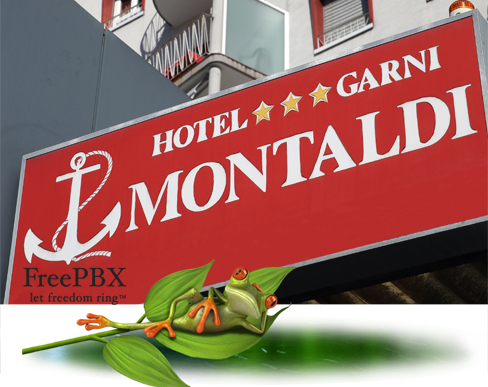 Nuovo sistema di telefonia Voip per l'Hotel Montaldi Garni di Locarno - Muralto